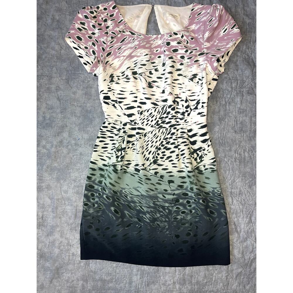 Silence & Noise Urban Outfitters Ombre Animal print Cut out Dress size 2